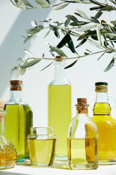 various bottles of aromatic olive oil, branches and jar on white table