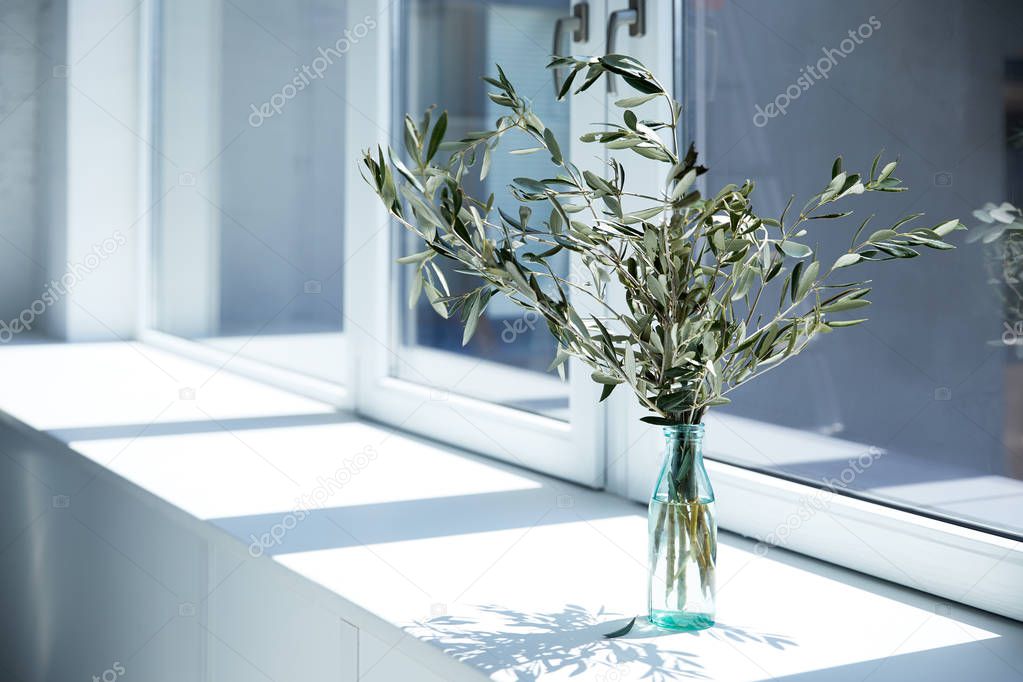 bottle with olive branches on window sill with shadow 