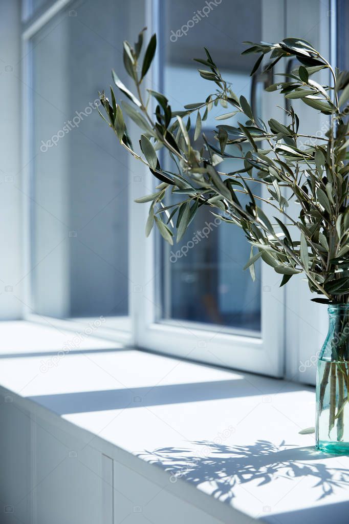 closeup view of bottle with olive branches on window sill with shadow 