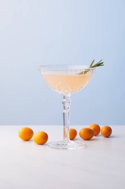 alkol kumquats mavi zemin üzerine çevrili rosemary ile kokteyl bardak 