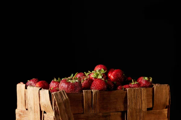 Ripe Red Strawberries Rustic Box Isolated Black — Stock Photo, Image