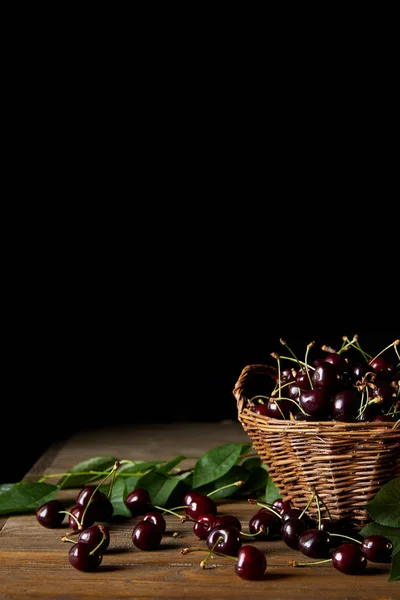 Freshly Harvested Red Cherries Old Basket Leaves Wooden Table Black — Stock Photo, Image