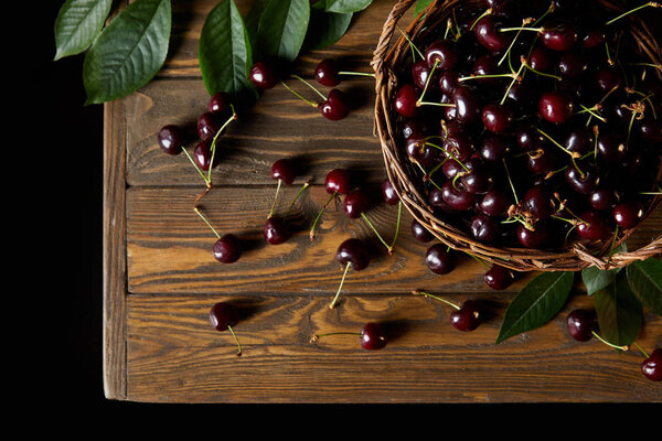 top view of fresh ripe cherries in old basket on wooden table isolated on black