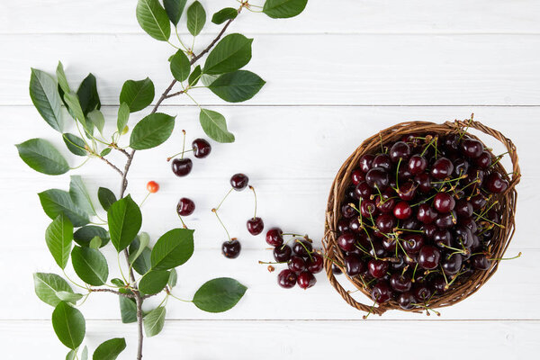 top view of fresh ripe cherries in rustic basket on white wooden tabletop with leaves branch