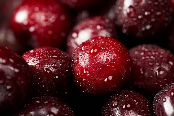 Gros Plan Cerises Douces Rouges Mûres Recouvertes Gouttelettes Eau — Photo