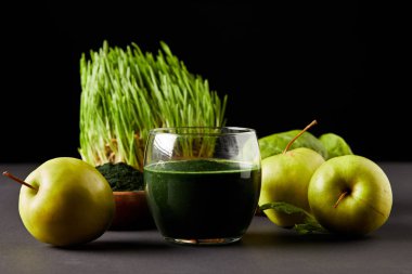 spirulina, elma, yaprakları, spirulina tozu ve spirulina çim siyah arka plan üzerine taze yüzlü 