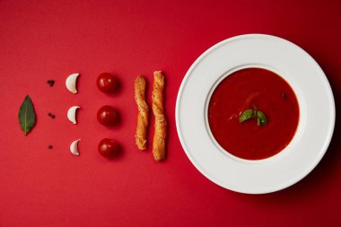 domates çorbası plaka ve baharat düz yatıyordu, sebze ekmek ile sopa kırmızı masada