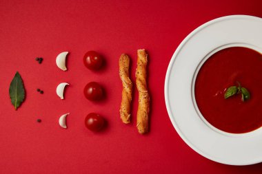 plaka ve sebze ile ekmek Domates çorbası yemek kompozisyon kırmızı masada sopa