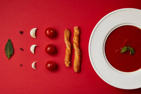 赤いテーブル上プレートとパンと野菜のトマトスープの食物組成スティックします — ストック写真