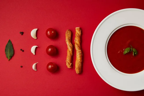 Food composition of tomato soup in plate and vegetables with bread sticks on red table — Stock Image Food Composition Tomato Soup Plate Vegetables Bread Sticks Red Table Stock Photo