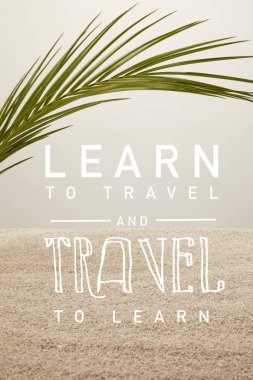close up view of green palm leaf and sand on grey backdrop, learn to travel and travel to learn inscription clipart