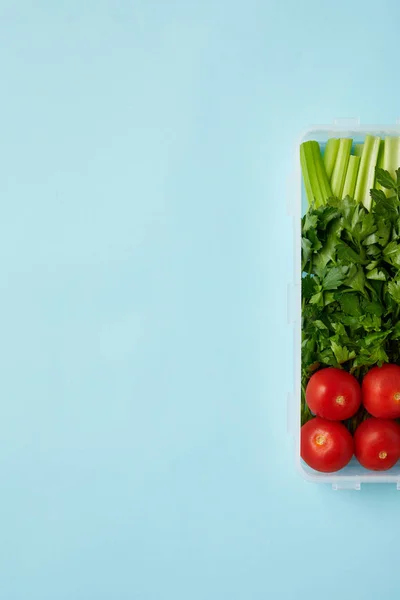 Bovenaanzicht Van Voedsel Container Vol Met Gezonde Groenten Geïsoleerd Blauw — Stockfoto