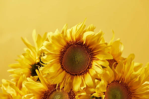Strauß Mit Schönen Sonnenblumen Isoliert Auf Gelb — Stockfoto