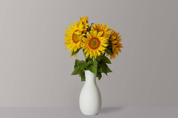 bouquet of yellow sunflowers in white vase, on grey