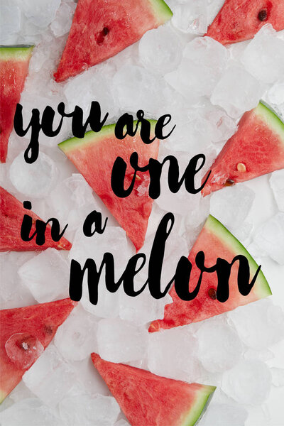 flat lay with sweet red watermelon slices lying on ice cubes, with inspection