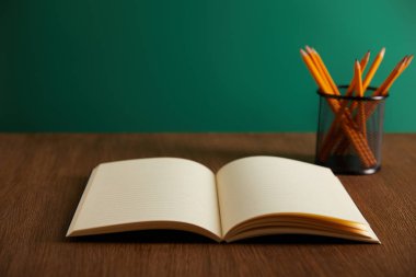 Açık kitap ve kalemleri ahşap tablo