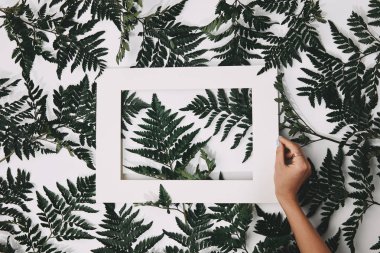 cropped shot of woman holding frame over green fern leaves isolated on white clipart