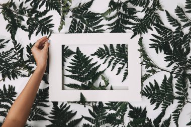 cropped shot of woman holding frame over fern leaves on white clipart
