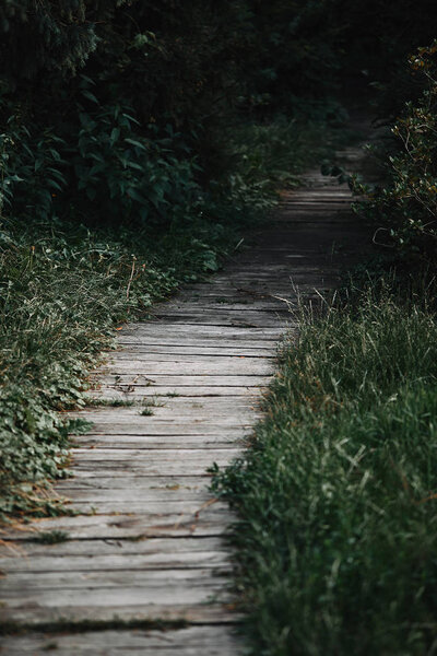 selective focus of wooden path between green grass in park 