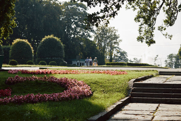 scenic view of summer park with trees and flowers during daytime 