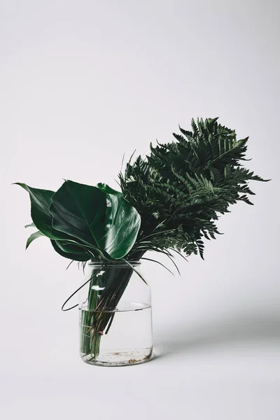 Heleboel Verschillende Groene Bladeren Glazen Vaas Wit — Stockfoto