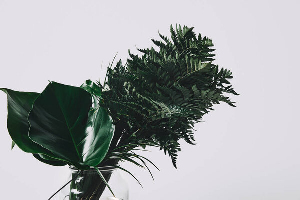 куча различных зеленых листьев в стеклянной вазе изолированы на белом
