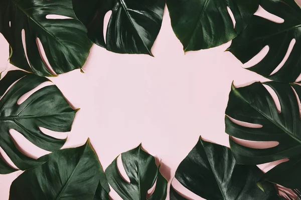 Top View Monstera Leaves Frame Pink Surface — Stock Photo, Image