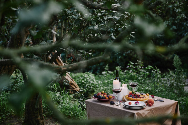 berries pie, wine and candles on table in garden with green trees