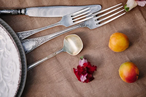 Bovenaanzicht Van Pruimen Gebruiksvoorwerpen Tafel — Stockfoto