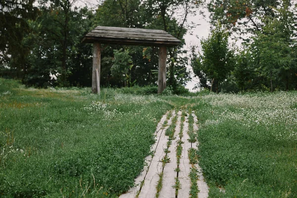 Wooden Path Green Grass Garden — Free Stock Photo