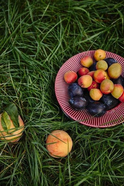 Elevated View Plums Apricots Peaches Green Grass Garden — Free Stock Photo