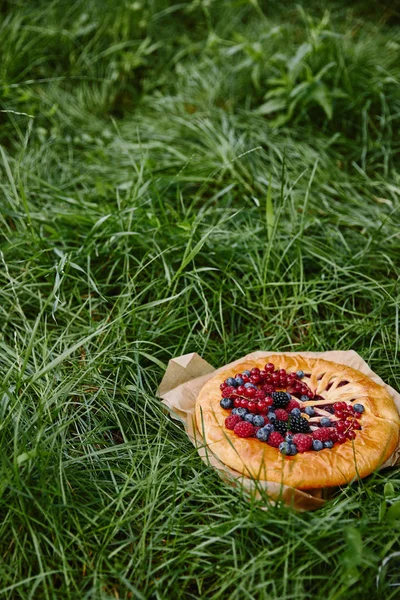 appetizing berries pie on green grass in garden