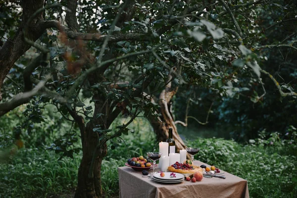 Velas Vino Tinto Pastel Mesa Jardín — Foto de stock gratis