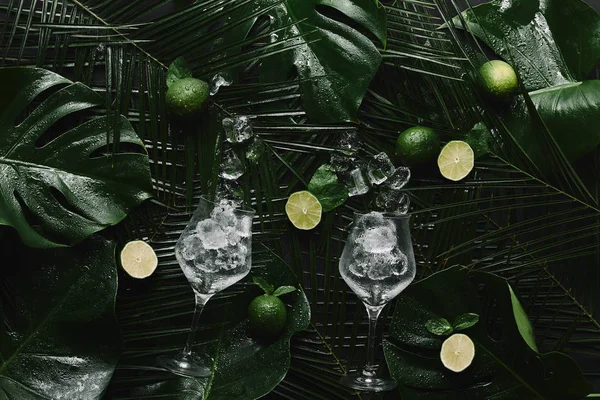 top view of glasses with ice cubes, fresh limes and green tropical leaves