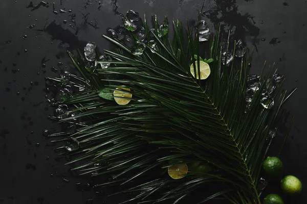 top view of fresh limes, ice cubes and beautiful green palm leaves on black  