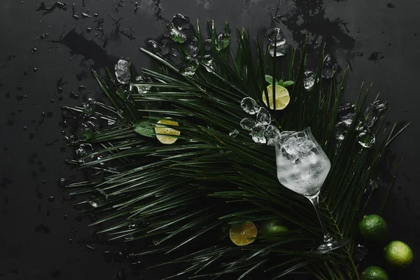 Glass Ice Cubes Fresh Limes Green Tropical Leaves Black — Stock Photo, Image