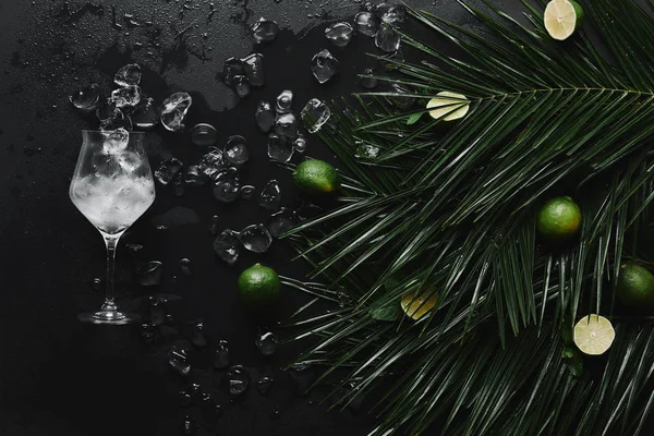 Felülnézet Üveg Jégkockák Friss Lime Trópusi Zöld Levelek Fekete — ingyenes stock fotók