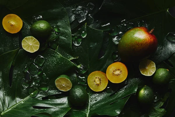 top view of fresh ripe fruits, ice cubes and green tropical leaves on black 