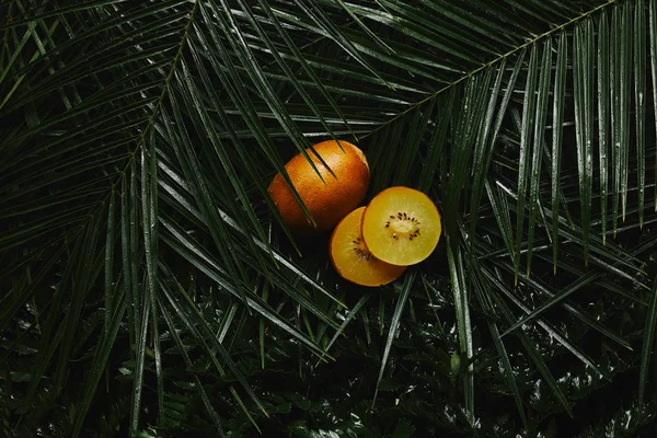 stock image close-up view of whole and sliced yellow kiwi and beautiful green wet tropical leaves 