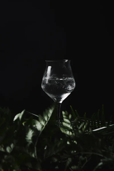 Крупным Планом Вид Стекла Прохладительным Напитком Тропическими Листьями Черном — стоковое фото