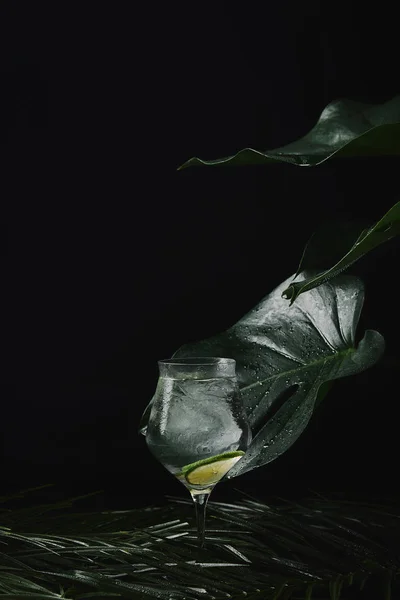 玻璃的特写视图与清爽的夏日饮料和潮湿的热带叶子在黑 — 图库照片