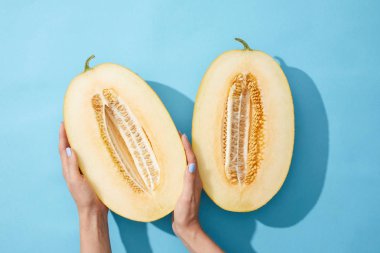 cropped shot of female hands and halved ripe melon on blue  clipart