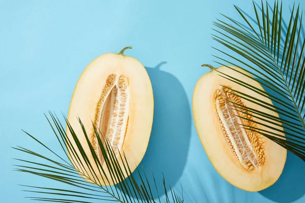 Draufsicht Auf Frische Reife Süße Halbierte Melone Und Grüne Palmblätter — Stockfoto