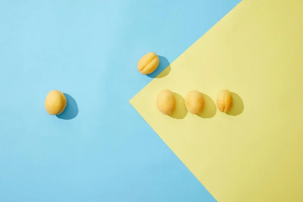 青と黄色の背景に新鮮な甘いアプリコットのトップ ビュー — ストック写真