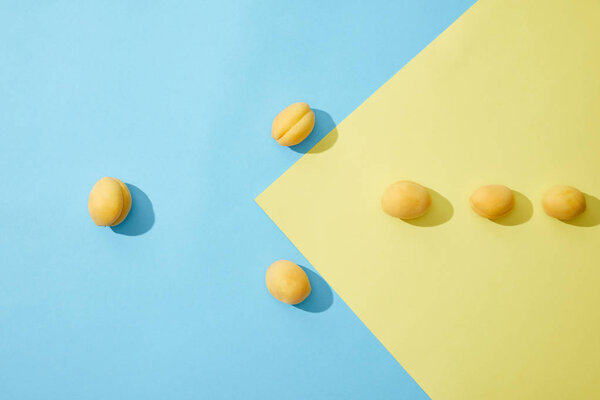 top view of fresh ripe apricots on blue and yellow background 