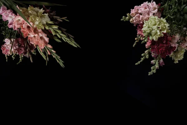 Beautiful Tender Blooming Gladioli Flowers Isolated Black Background — Stock Photo, Image