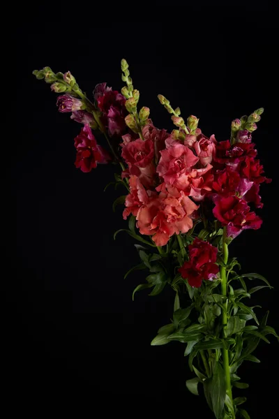 Buquê Belas Flores Rosa Vermelho Roxo Com Botões Folhas Verdes — Fotografia de Stock