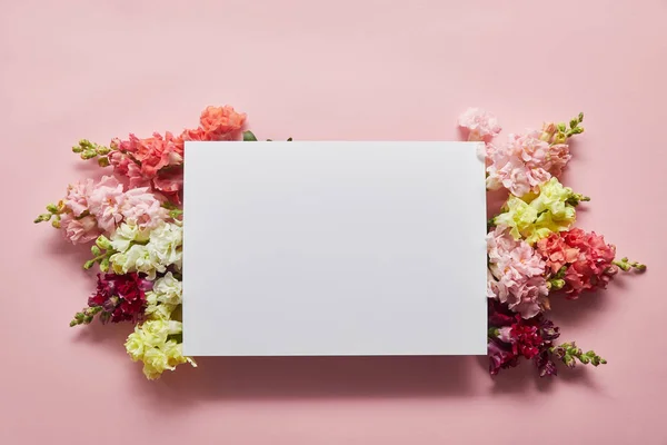 Top View Beautiful Tender Flowers Blank Card Pink — Stock Photo, Image