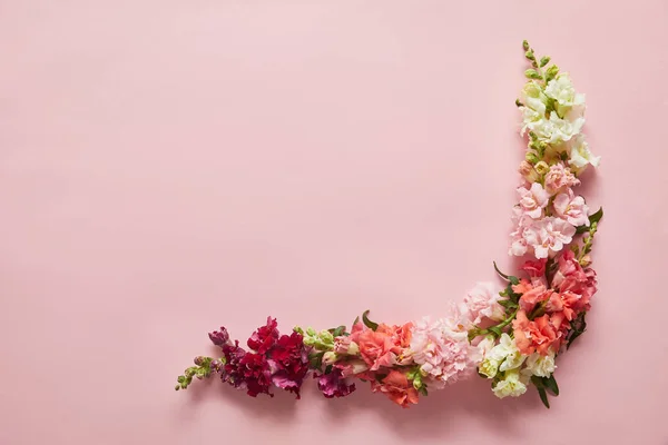 Gyönyörű Pályázati Rózsaszín Fehér Piros Virágok Rózsaszín Háttér — Stock Fotó