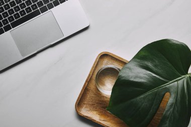 Laptop yanında su ve monstera yaprak beyaz mermer zemin üzerine ahşap tepsi